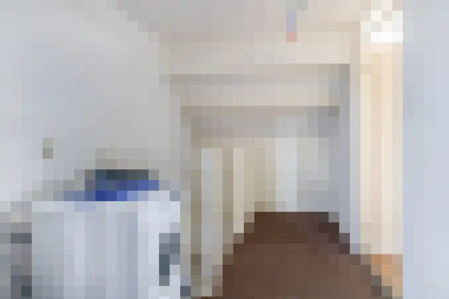 C. van Boshuizenstraat 58 Spijkenisse thumbnail 27