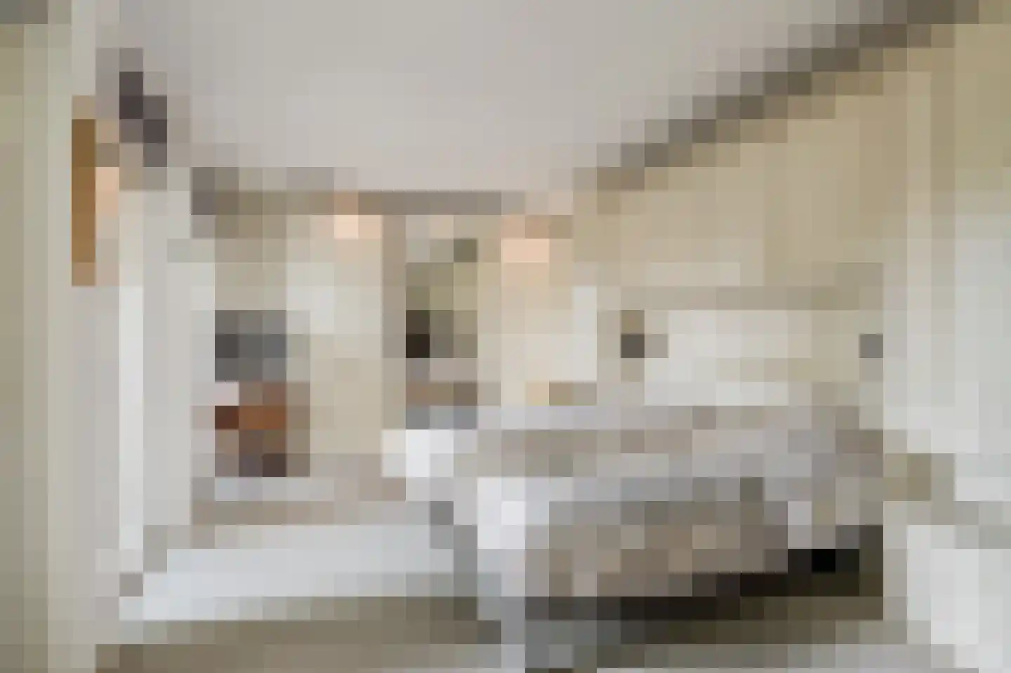 C. van Drosthagenstraat 14 Weesp thumbnail 17