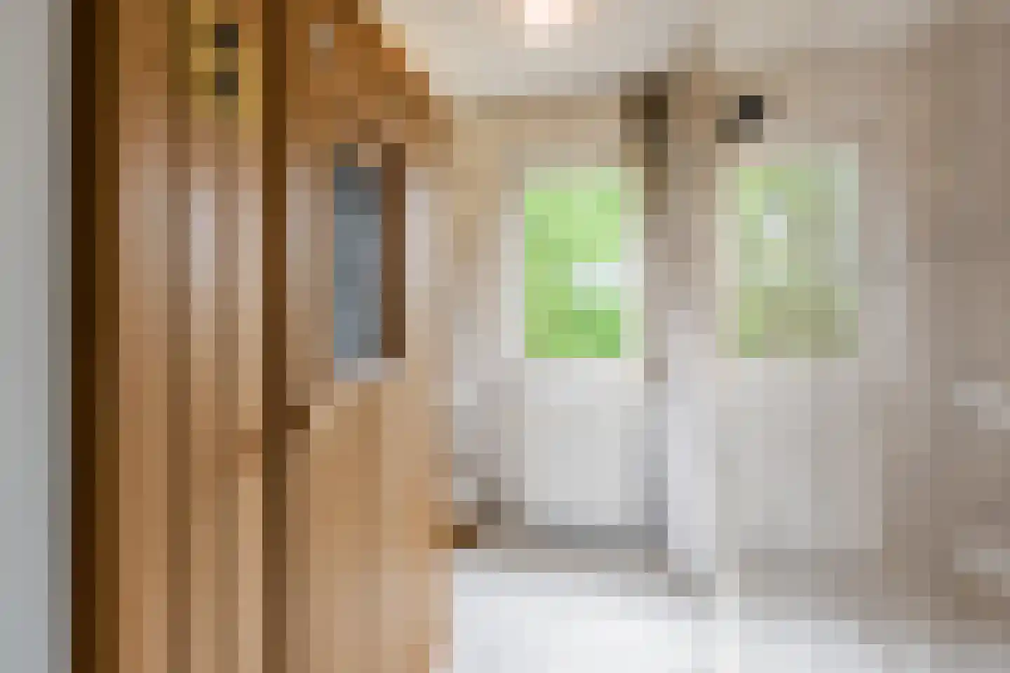 C. van Drosthagenstraat 14 Weesp thumbnail 32