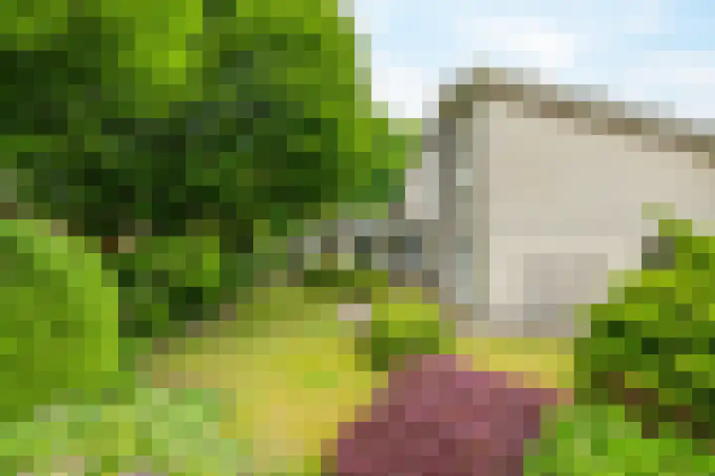 C. van Drosthagenstraat 14 Weesp thumbnail 39