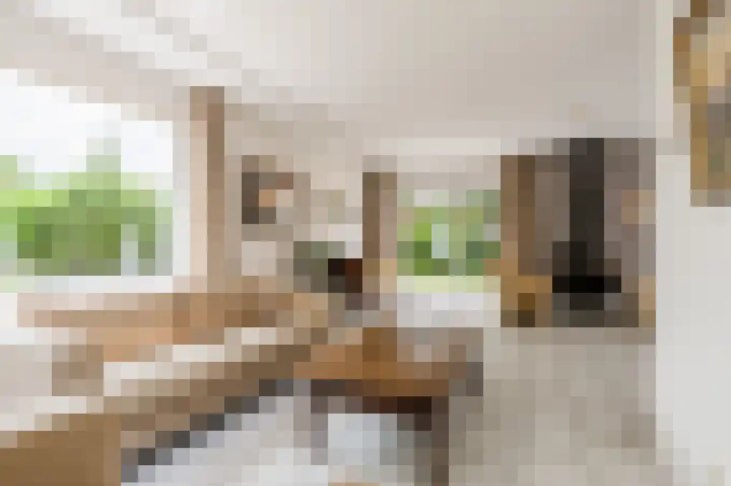 C. van Drosthagenstraat 14 Weesp thumbnail 9
