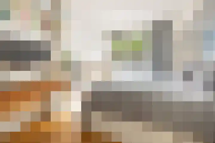 C. van Eesterenlaan 256 Amsterdam thumbnail 28