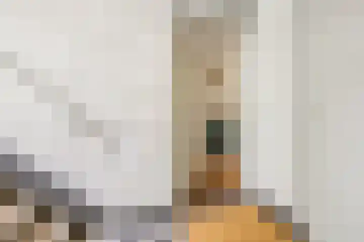 C. van Eesterenlaan 256 Amsterdam thumbnail 7