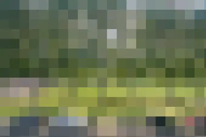 C. van Eesterenplein 54 Almere thumbnail 31