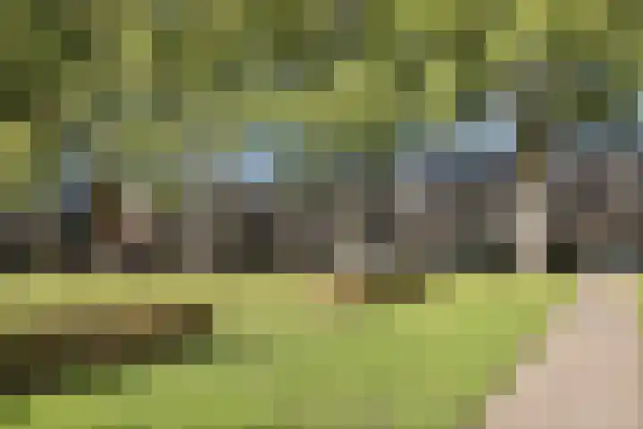 C. van Eesterenplein 54 Almere thumbnail 38