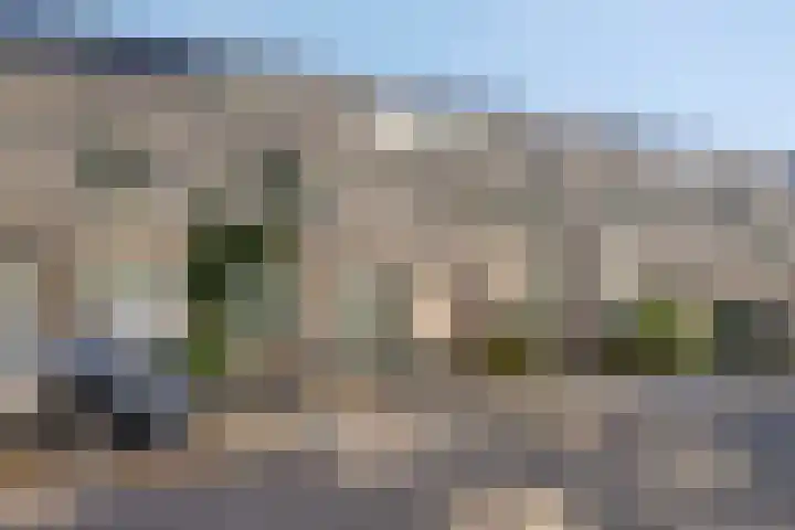 C. van Eesterenplein 54 Almere thumbnail 4