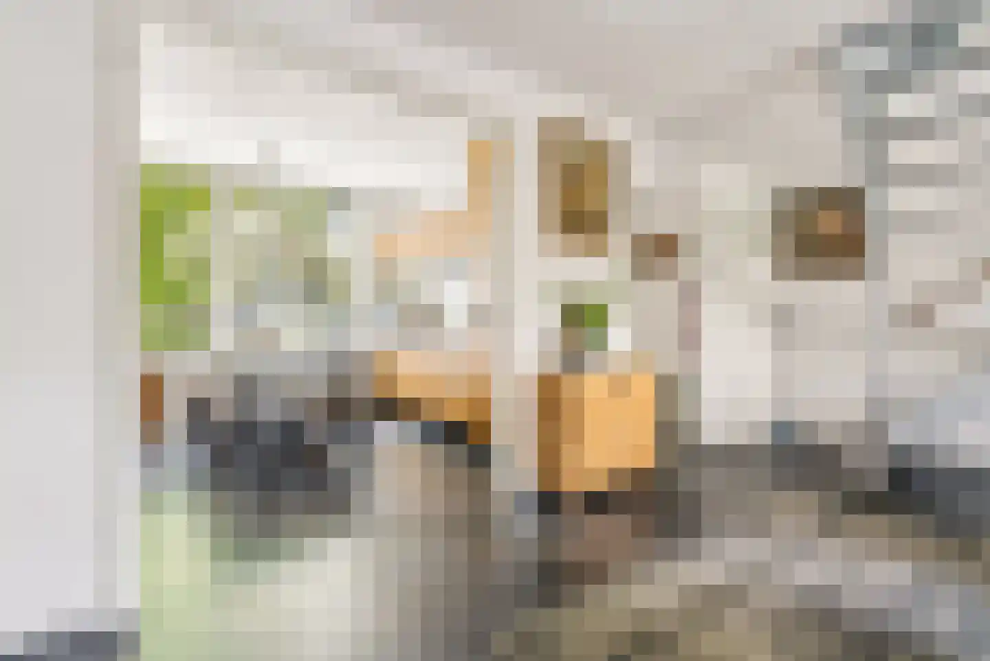C. van Eesterenplein 88 Almere thumbnail 22