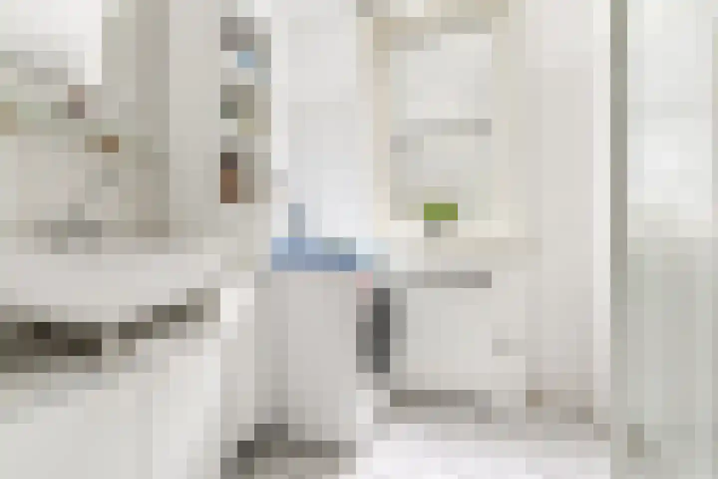 C. van Eesterenplein 88 Almere thumbnail 33