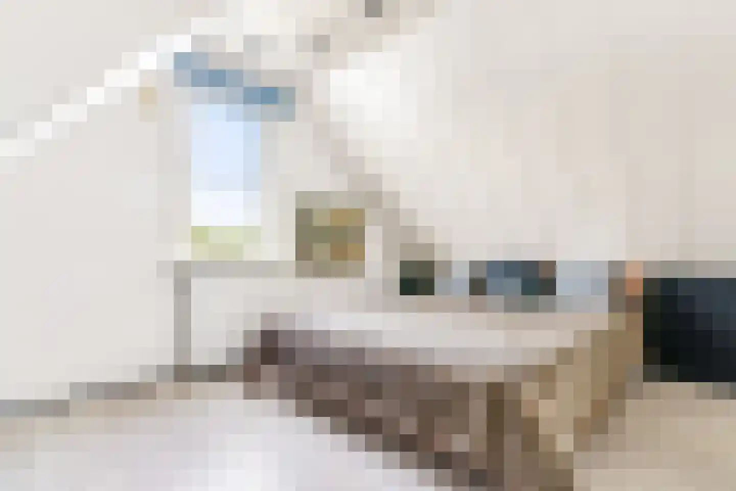 C. van Eesterenplein 88 Almere thumbnail 39