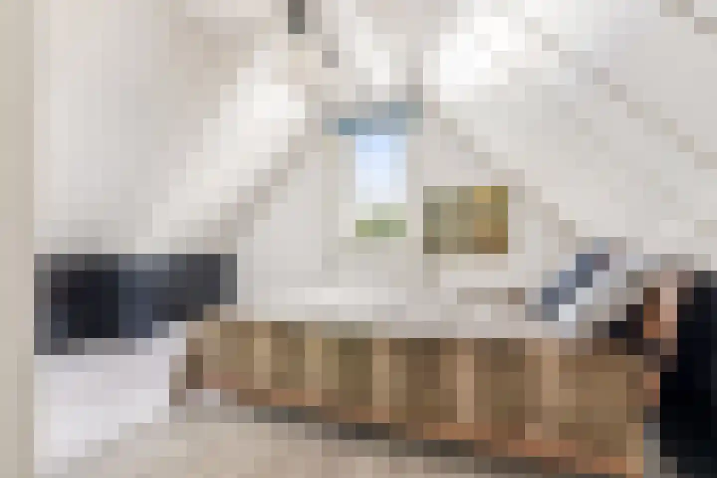 C. van Eesterenplein 88 Almere thumbnail 44
