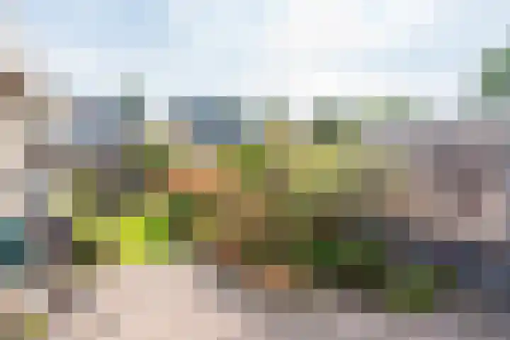 C. van Everdingenlaan 12 Heerhugowaard thumbnail 39