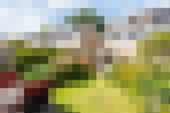 C. van Everdingenlaan 12 Heerhugowaard thumbnail 42