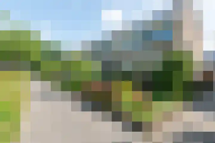 C. van Everdingenlaan 12 Heerhugowaard thumbnail 47