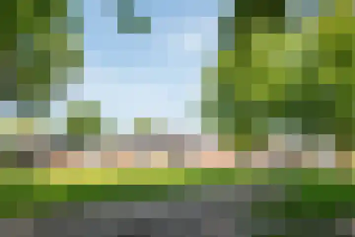 C. van Everdingenlaan 12 Heerhugowaard thumbnail 49