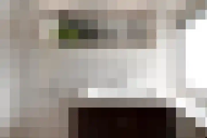 C. van Everdingenlaan 7 Heerhugowaard thumbnail 24