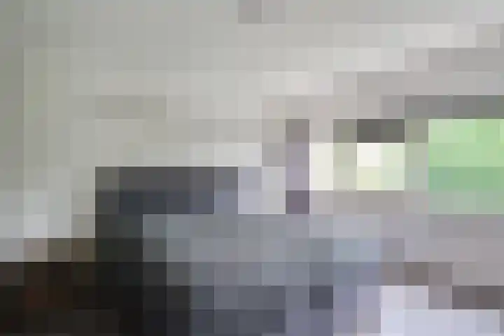 C. van Everdingenlaan 7 Heerhugowaard thumbnail 25