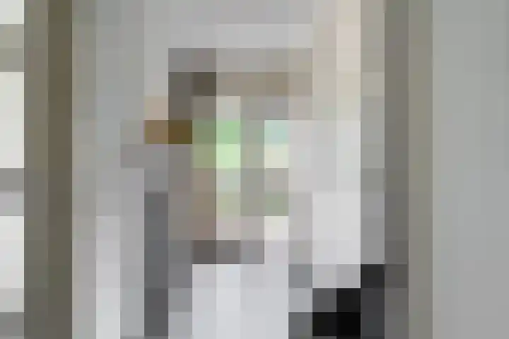 C. van Everdingenlaan 7 Heerhugowaard thumbnail 36
