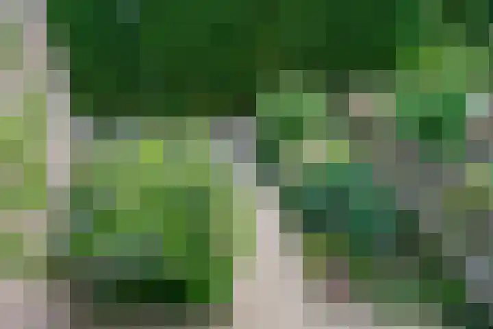 C. van Everdingenlaan 7 Heerhugowaard thumbnail 37