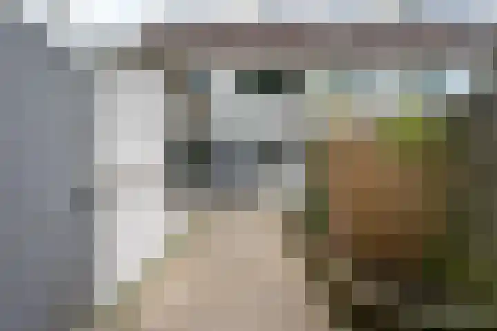 C. van Everdingenlaan 7 Heerhugowaard thumbnail 41