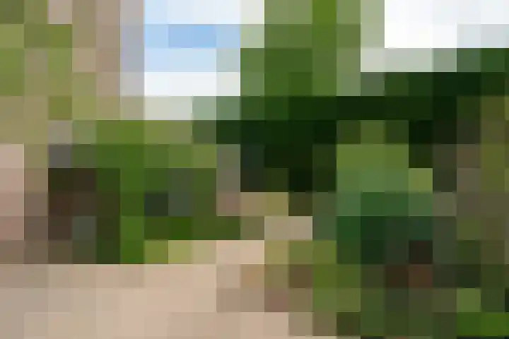 C. van Everdingenlaan 7 Heerhugowaard thumbnail 43