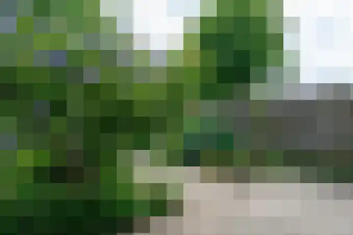 C. van Everdingenlaan 7 Heerhugowaard thumbnail 44