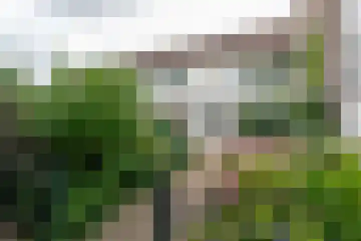C. van Everdingenlaan 7 Heerhugowaard thumbnail 45