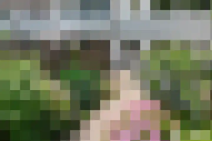 C. van Everdingenlaan 7 Heerhugowaard thumbnail 48