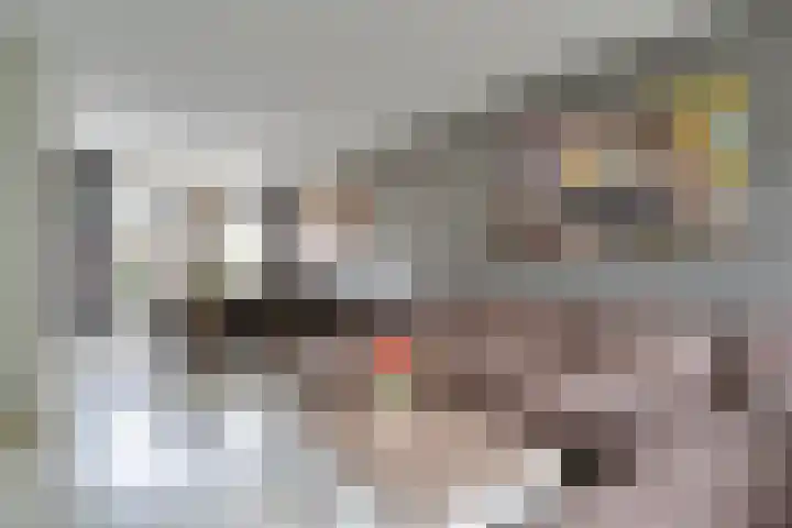C. van Everdingenlaan 7 Heerhugowaard thumbnail 6