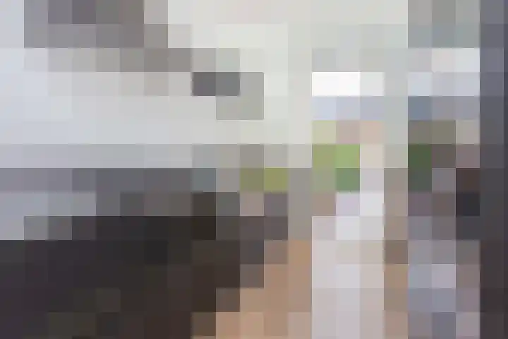C. van Leeuwenstraat 5 Woerden thumbnail 10