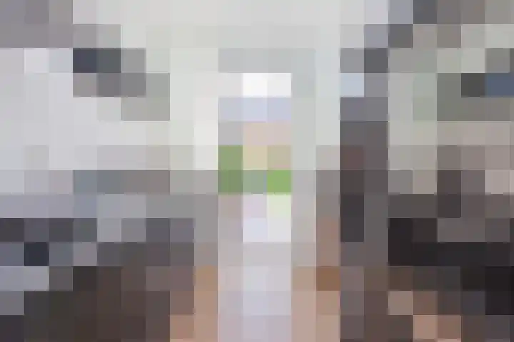 C. van Leeuwenstraat 5 Woerden thumbnail 11