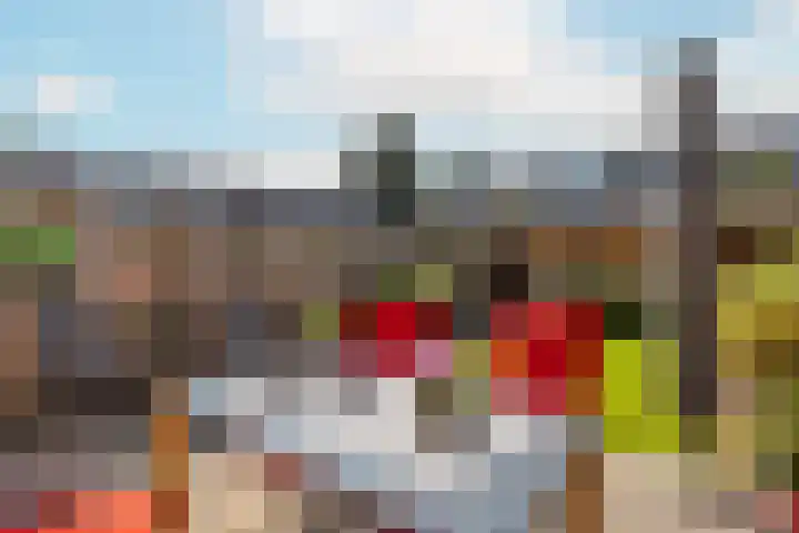C. van Leeuwenstraat 5 Woerden thumbnail 15