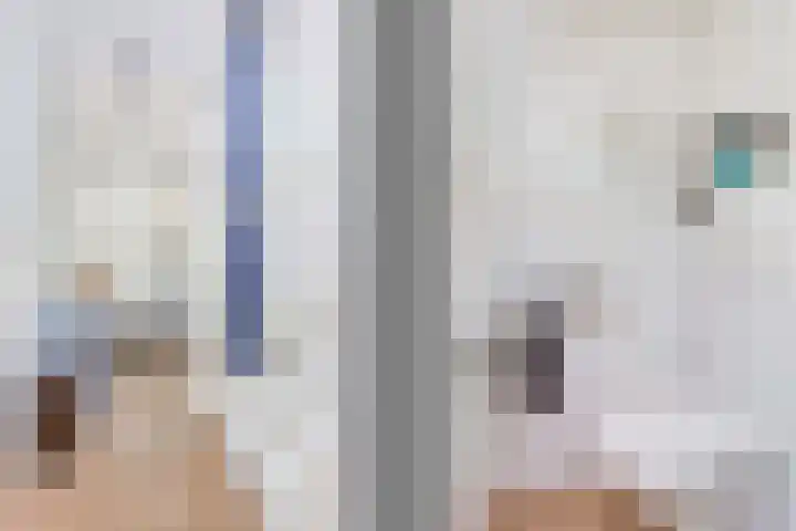 C. van Leeuwenstraat 5 Woerden thumbnail 21