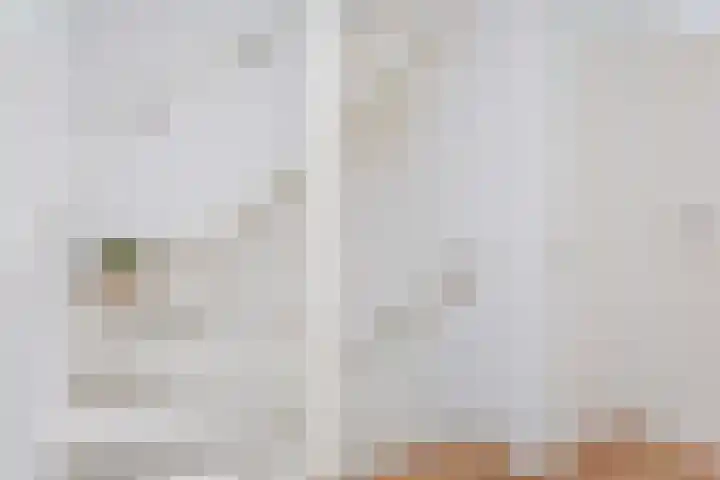 C. van Leeuwenstraat 5 Woerden thumbnail 32
