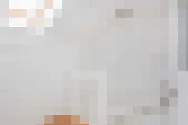 C. van Leeuwenstraat 5 Woerden thumbnail 38