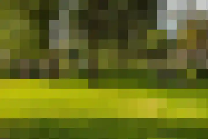 C. van Leeuwenstraat 5 Woerden thumbnail 41