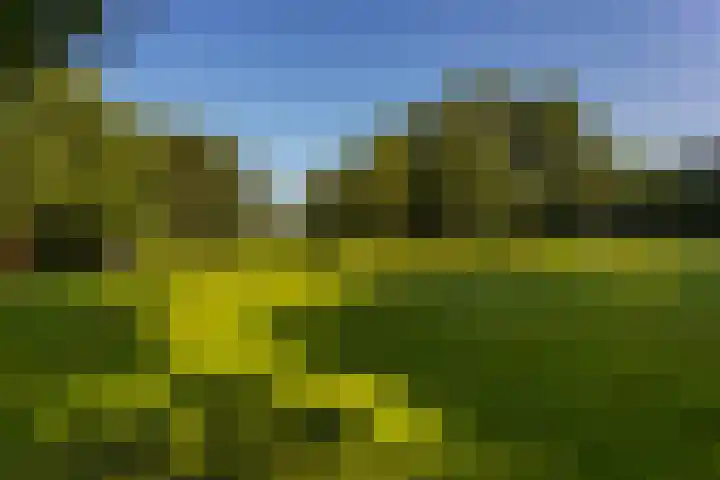 C. van Leeuwenstraat 5 Woerden thumbnail 42