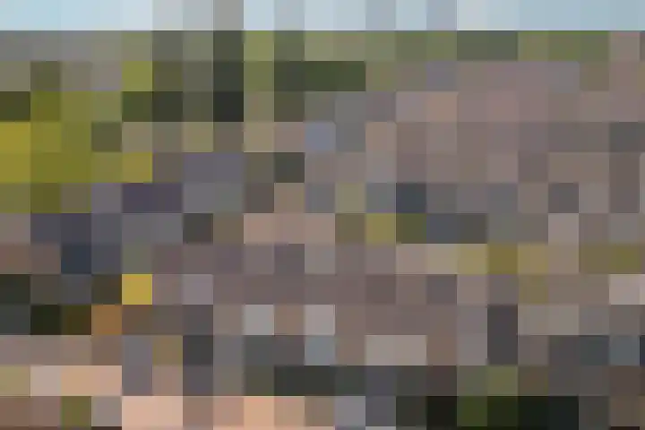 C. van Leeuwenstraat 5 Woerden thumbnail 46