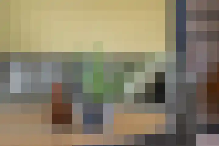 C. van Leeuwenstraat 7 Woerden thumbnail 12