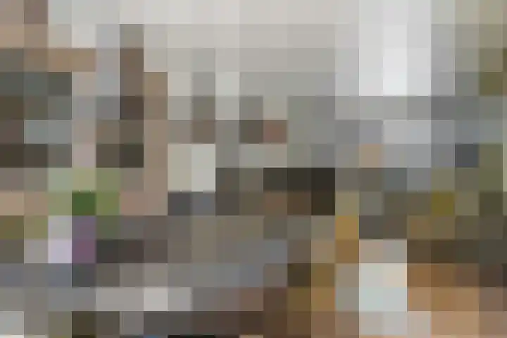 C. van Leeuwenstraat 7 Woerden thumbnail 15