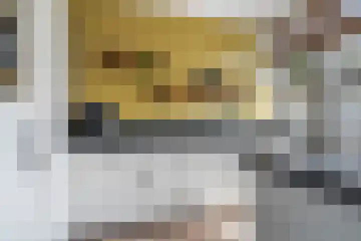 C. van Leeuwenstraat 7 Woerden thumbnail 16