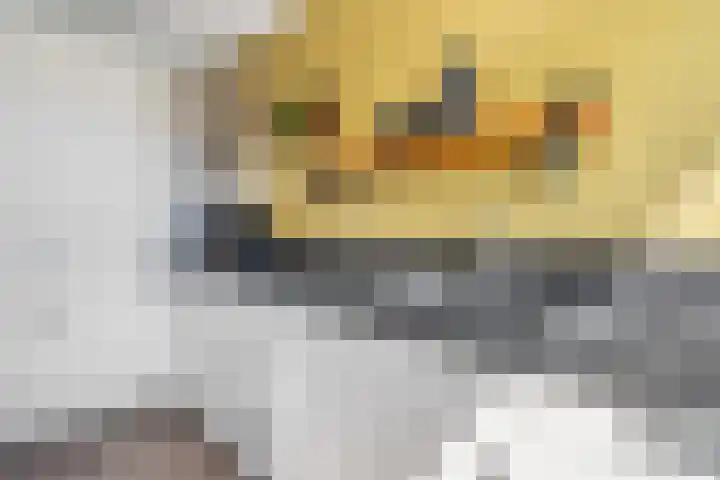 C. van Leeuwenstraat 7 Woerden thumbnail 17