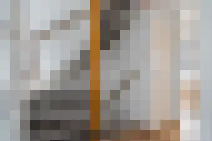 C. van Leeuwenstraat 7 Woerden thumbnail 29