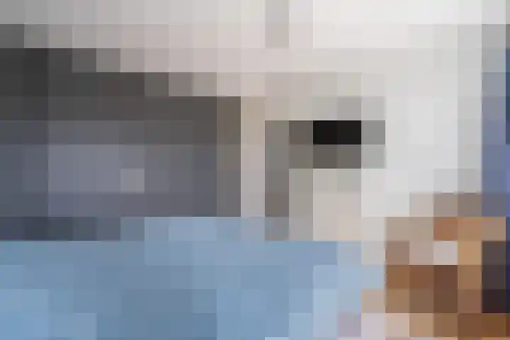 C. van Leeuwenstraat 7 Woerden thumbnail 39