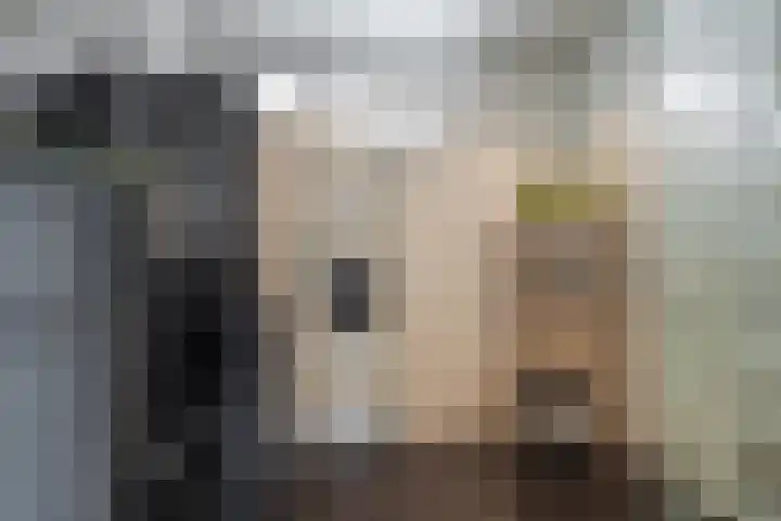 C. van Leeuwenstraat 7 Woerden thumbnail 40