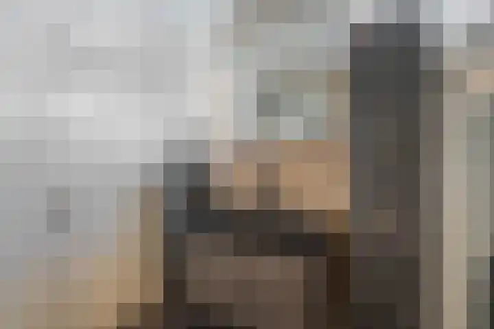 C. van Leeuwenstraat 7 Woerden thumbnail 41