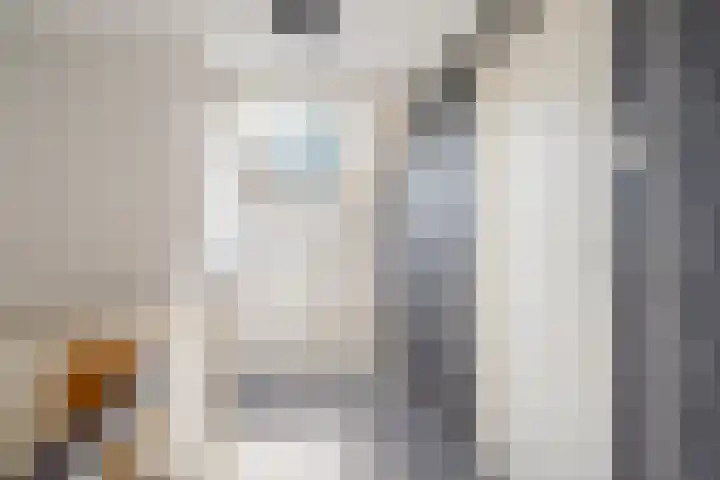 C. van Leeuwenstraat 7 Woerden thumbnail 44