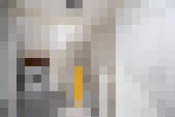 C. van Leeuwenstraat 7 Woerden thumbnail 46