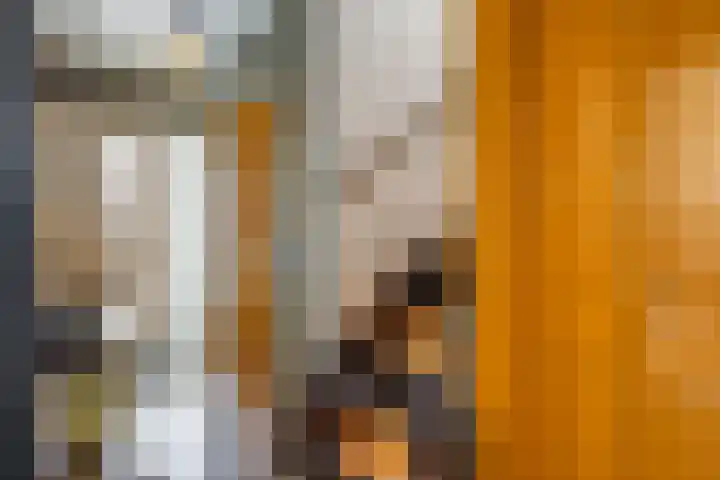 C. van Leeuwenstraat 7 Woerden thumbnail 5