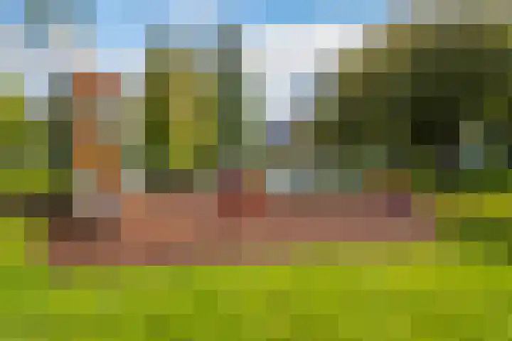 C. van Leeuwenstraat 7 Woerden thumbnail 54