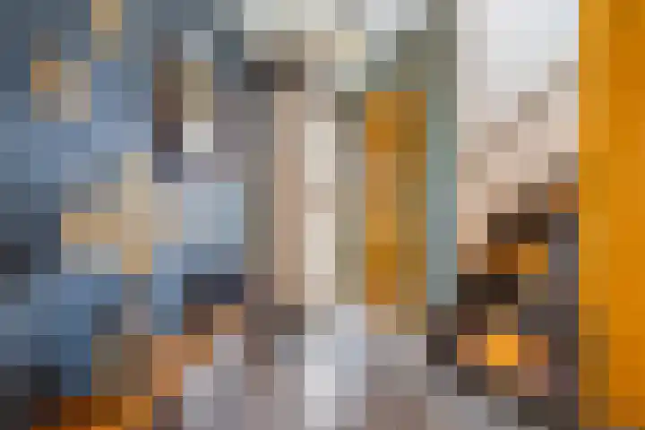 C. van Leeuwenstraat 7 Woerden thumbnail 7
